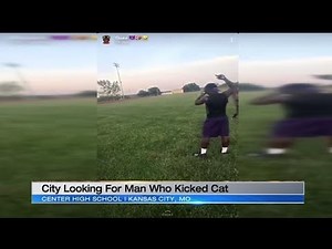 GRAPHIC: Video shows man punting cat on Kansas City football field