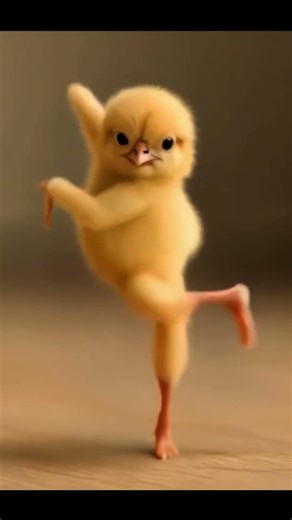 tari itik balet#ayam