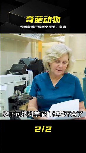 長相滑稽卻帶劇毒，鴨嘴獸竟然產卵？真相嚇呆 #鸭嘴兽 #奇特生物 #奇葩动物 #动物冷知识 #动物科普