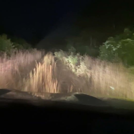 2019 Ford Ranger Safari Drive