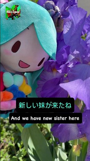 侍話 Samurai Story 9 EMP of Love🌳🦋🩷 #mikusquad #mikuplushies #fuwapuchi