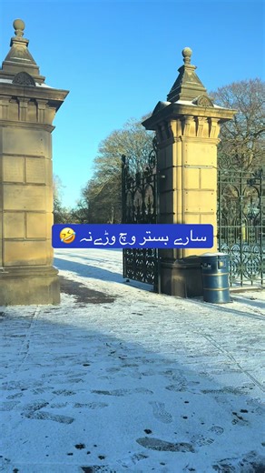 Funny Teamwork Moments That Will Make You Laugh