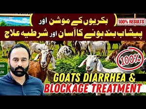 Goats 🐐 Diarrhea and Stool Blockage Easy and Effective Treatment | 100% Results 💯