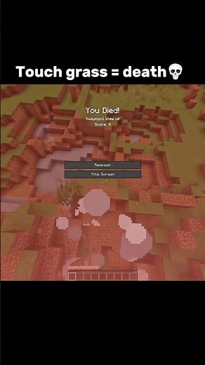 Minecraft instant death command 💀