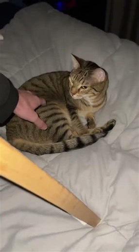 He saw something I didn't see 😱