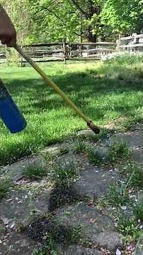 Weed Dragon - Fun way to get rid of weeds #shorts #weeddragon #weeds #torch