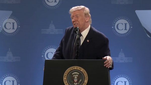 Illegal immigrants from Africa, India and China are voting in US elections — here’s how they’re doing it