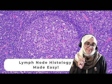 NORMAL LYMPH NODE HISTOLOGY
