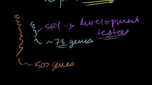 Sex-linked traits