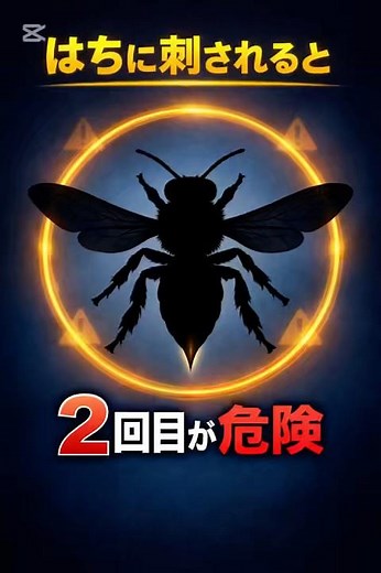 はちに２回刺されると危険な理由 #医学 #医学生 #雑学