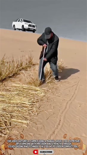 Precision Planting Tool: Inserting Dry Reed Manually #ToolHolder