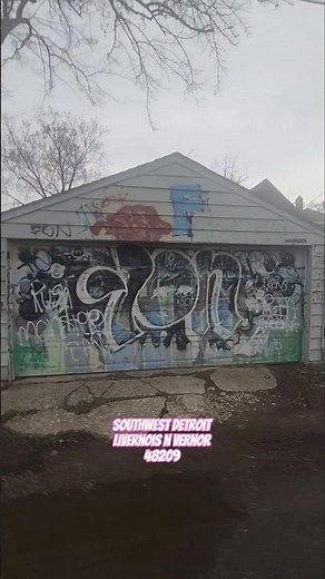 Behind the Streets: The Hidden Back Alleys of Southwest Detroit