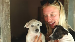 Dog Shelter Experience in Bali