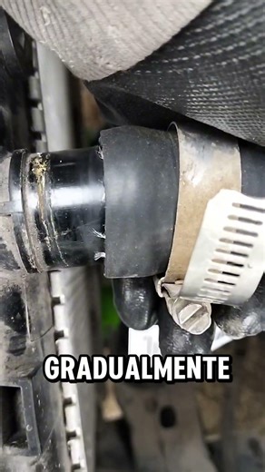 Las mejores abrazaderas que evitan fuga de anticongelante en el vehículo.