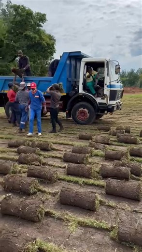 Top-quality grass installation and fast, reliable deliveries. JB Instant Lawn — we do it right.  | JB Instant Lawn | Facebook