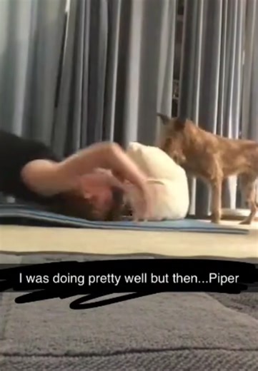 old video of Piper trying to be included in yoga #puppyyoga #dog #irishterrier #discover #yoga