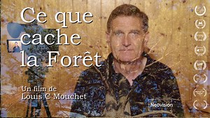 Ce que cache la Forêt