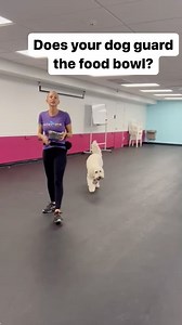 20 reactions | Does your dog guard the food bowl?#dogtrainingtips #dogsofinstagram #puppiesofinstagram | Lucky Dog Training Club | Facebook