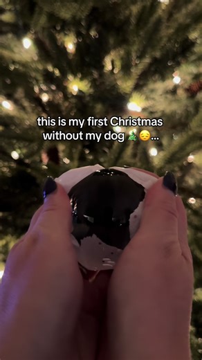 Heartwarming Christmas Memories with Pets