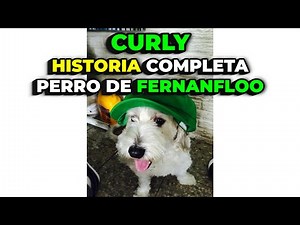 CURLY COMPLETE STORY Fernanfloo's Dog All His Life and Appearances And His Brother Party