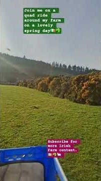 🇮🇪Quad Ride Around Our Irish Farm | Spring in the Dublin mountains on a beautiful spring day ☘️🇮🇪🐑