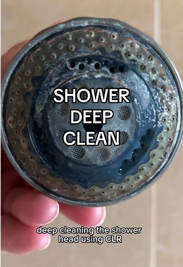 Effective Shower Head Cleaning Tips and Techniques