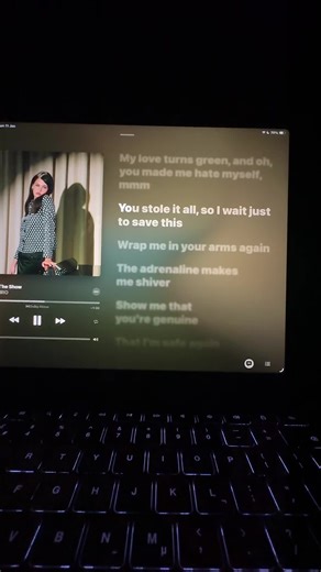 You Stole the Show by Sienna Spiro - Lyrics & Meaning