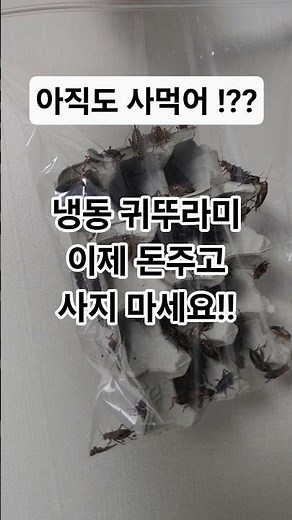ep.03 손쉽게 냉동 귀뚜라미 만드는 방법 !!