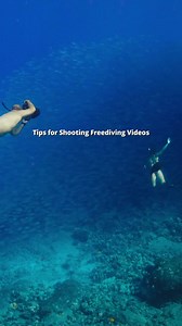 35K views · 491 reactions | Capture breathtaking freediving videos! ...