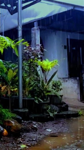 the pleasant sound of rain and birds