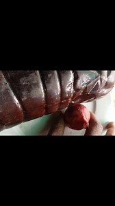 Linco Blessed on Reels