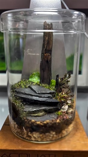 Stop scrolling! Heres the coolest unique activity for all the plant lovers out there because you can now build a tiny jungle right here in Joburg 🌿 SAVE THIS for your next must-try activity: Aquature Living Art runs Terrarium, Paludarium & Aquarium workshops at Soko District Rosebank. From R850 pp, you get everything you need to create your own piece of living art - tools, plants, guidance, the lot. Such a fun, chill session that might spark a whole new hobby. 🙌 Perfect for: solo crafters, cut