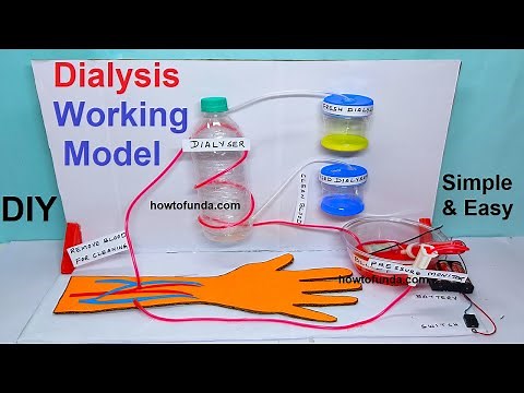 dialysis working model for science project exhibition - diy - simple and easy way | craftpiller