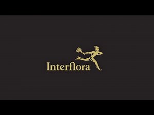 Flowers Delivery | Interflora NZ