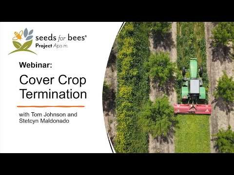 Seeds for Bees® Cover Crop Termination Webinar