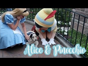 Alice and Pinocchio meet a Dog at Disneyland