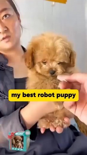 worried about too much screen time? 📱🚫 Break the cycle with a companion that actually gets them playing! 🏃‍♂️✨ Meet the robotic puppy that offers REAL companionship. 🐶 This furry friend runs, barks, and wags its tail, bringing all the joy of a pet without the mess. It’s the perfect way to help kids disconnect from devices and reconnect with fun. ❤️ Give the gift of active play this season! 🎁👇 | Libiyi_AU