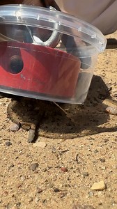 Real beach life! 😮 | Creative Ideas