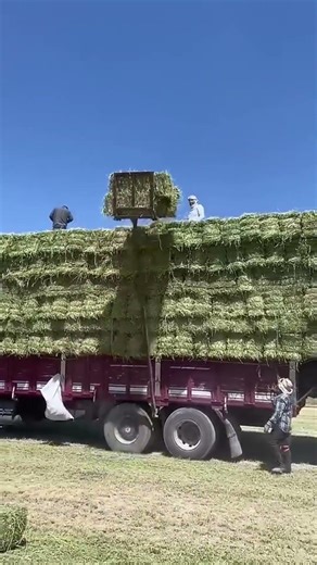 Loading Bales Has Never Been This Simple