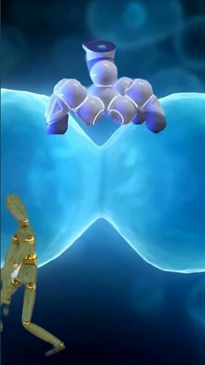 #doyouknow What is Reverse Transcriptase? #simpleexplanation #scienceisyou #dna #rna #transcription