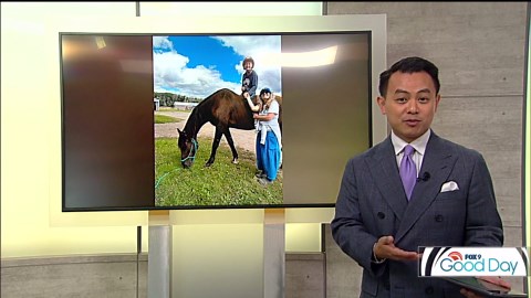 Local mom helps families through horse nonprofit