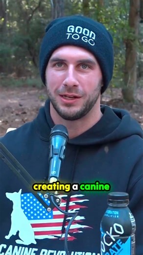 The #1 Mistake with Hyperactive Dogs