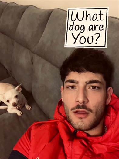 What Dog Breed Are You? Fun Quiz with Nikki