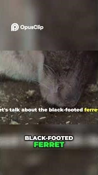 Extinct Animals They Came Back From The Dead!