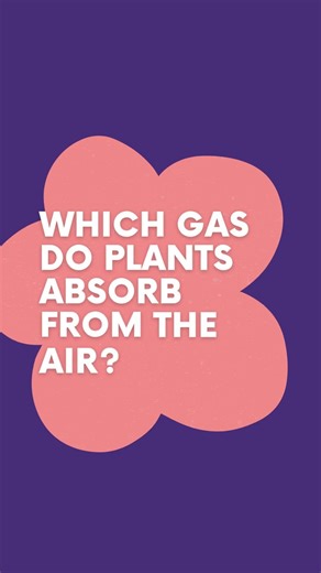 Simple Quiz ! 4 #brainchallenge #funquiz #gk