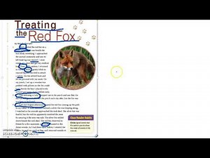 Lesson 15 Text Structure Sequence