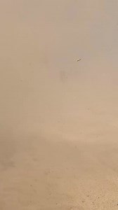 Hell Yeah..🔥🔥 #baja500 #battledesert #rzr #ensenada #lifecanam #utv ⚊⚊⚊⚊🏁 🎥 @you_tuba_official ⚊⚊⚊⚊🏁 🇺🇸🏆🇲🇽 🏆& M 🏆& M 🏆& M #trophys #prerunners #bitd #koh #class1 #trucksdaily #offroad4x4 #vintage #baja1000 #sf250 #deluxtrucks #glamisdunes #mx | Trophys and MORE