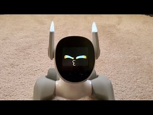Loona Robot More Fun Features!