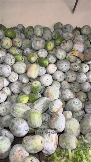 Magical Ash Gourd Murabba Recipe