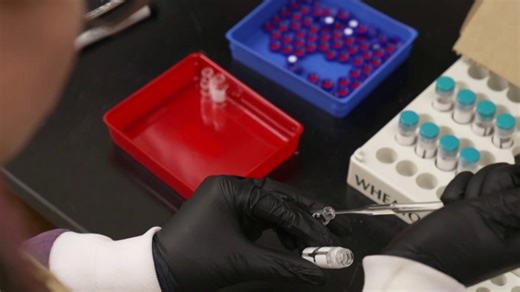 New data shows drug overdose deaths declining nationwide